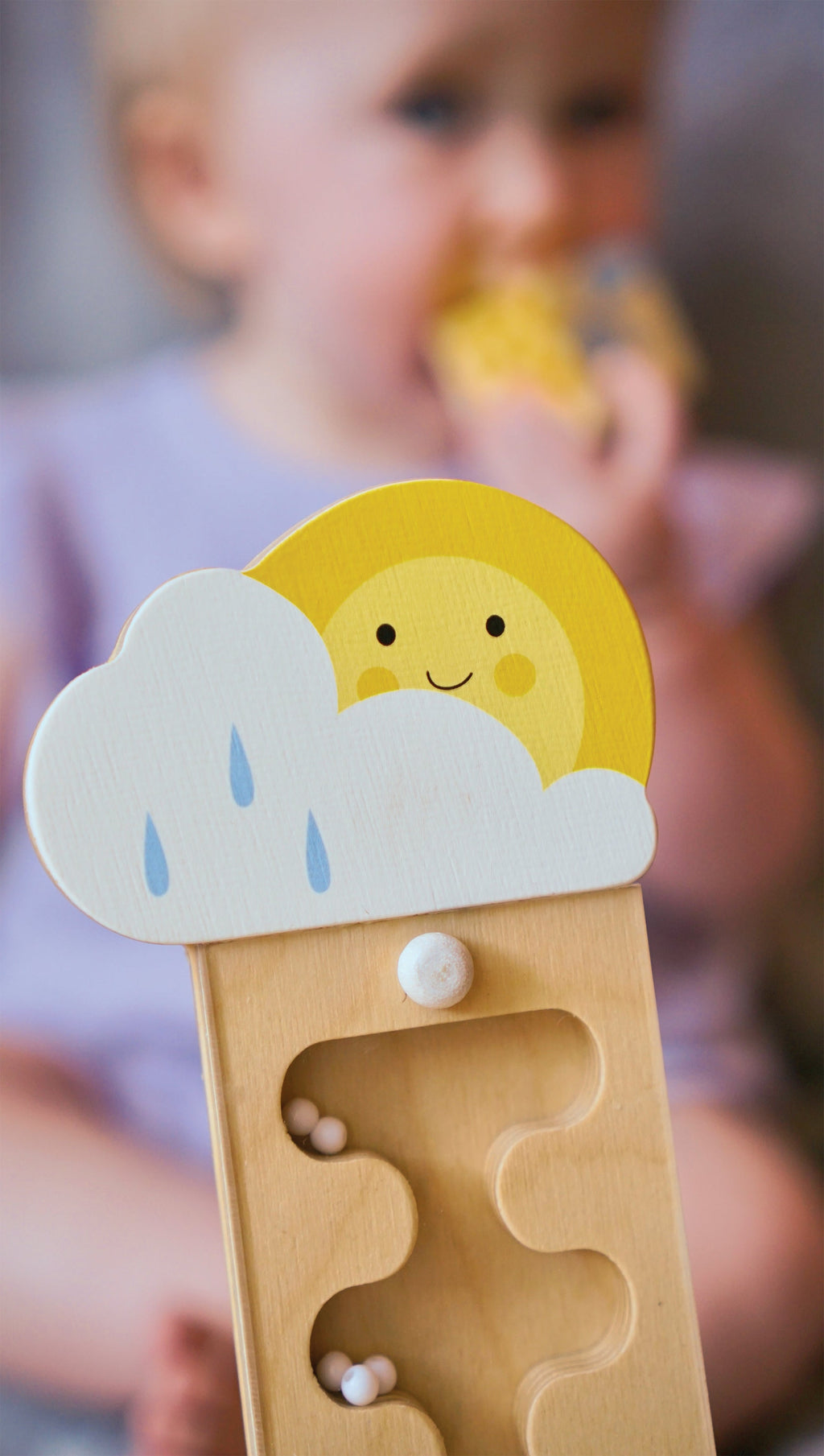 Rainmaker Sensory Toy